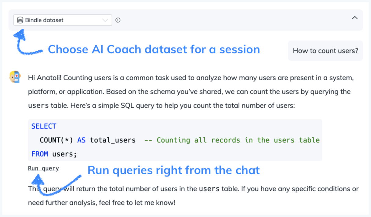 Ai coach run query